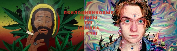 прущие крисы Аркадак