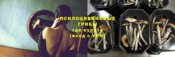 СК Армянск