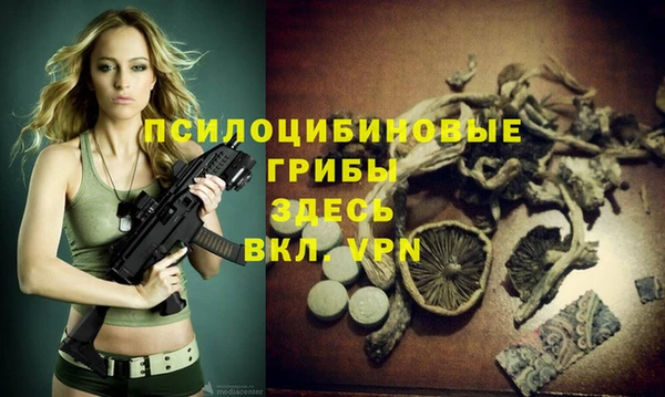 ГАЛЛЮЦИНОГЕННЫЕ ГРИБЫ Арсеньев