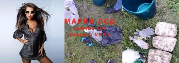 ГАЛЛЮЦИНОГЕННЫЕ ГРИБЫ Арсеньев
