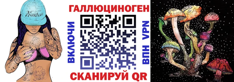 Псилоцибиновые грибы мицелий  Старая Русса 